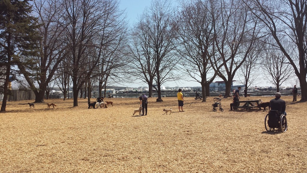 Coronation Park Offleash Dog Park | Niagara, Toronto, ON M5V 1A7, Canada | Phone: (416) 338-4386