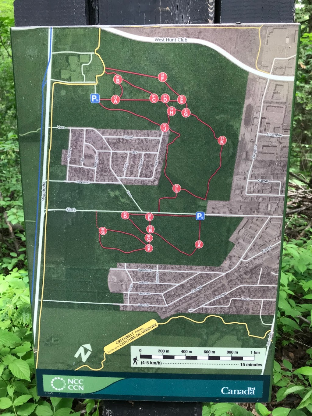 Pinhey Forest | Merivale Gardens - Grenfell Glen - Pineglen - Country Place, Ottawa, ON K2G 0B8, Canada | Phone: (613) 239-5000