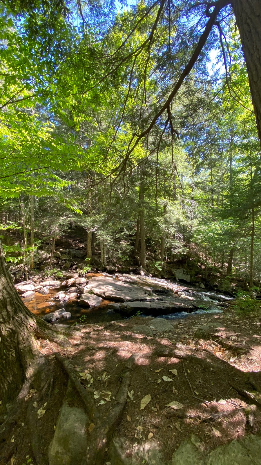 Algonquin Highlands Trails | 1123 North Shore Rd, Algonquin Highlands, ON K0M 1J1, Canada | Phone: (705) 766-9033