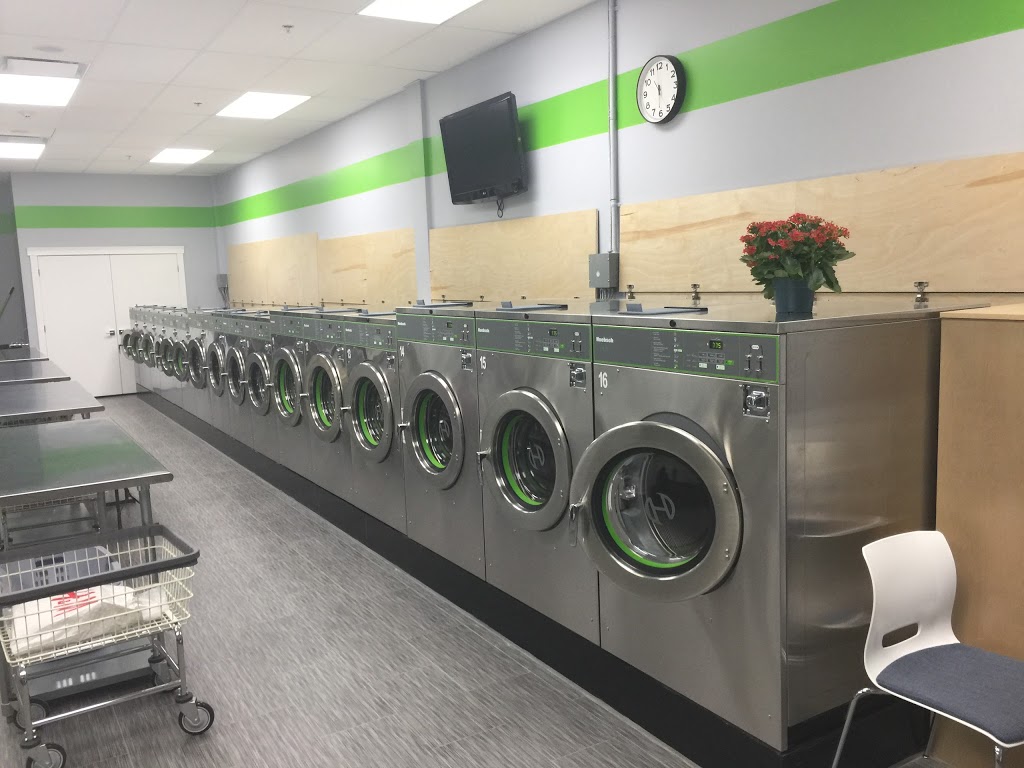 Royal Express Laundromat | 14330 64 Ave #104, Surrey, BC V3W 1Z1, Canada | Phone: (604) 593-6664