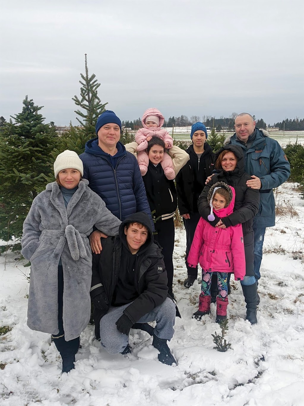 Kellys Christmas Tree Farm | 4013 Fort Augustus Rd, Fort Augustus, PE C1A 2Z3, Canada | Phone: (902) 394-2215