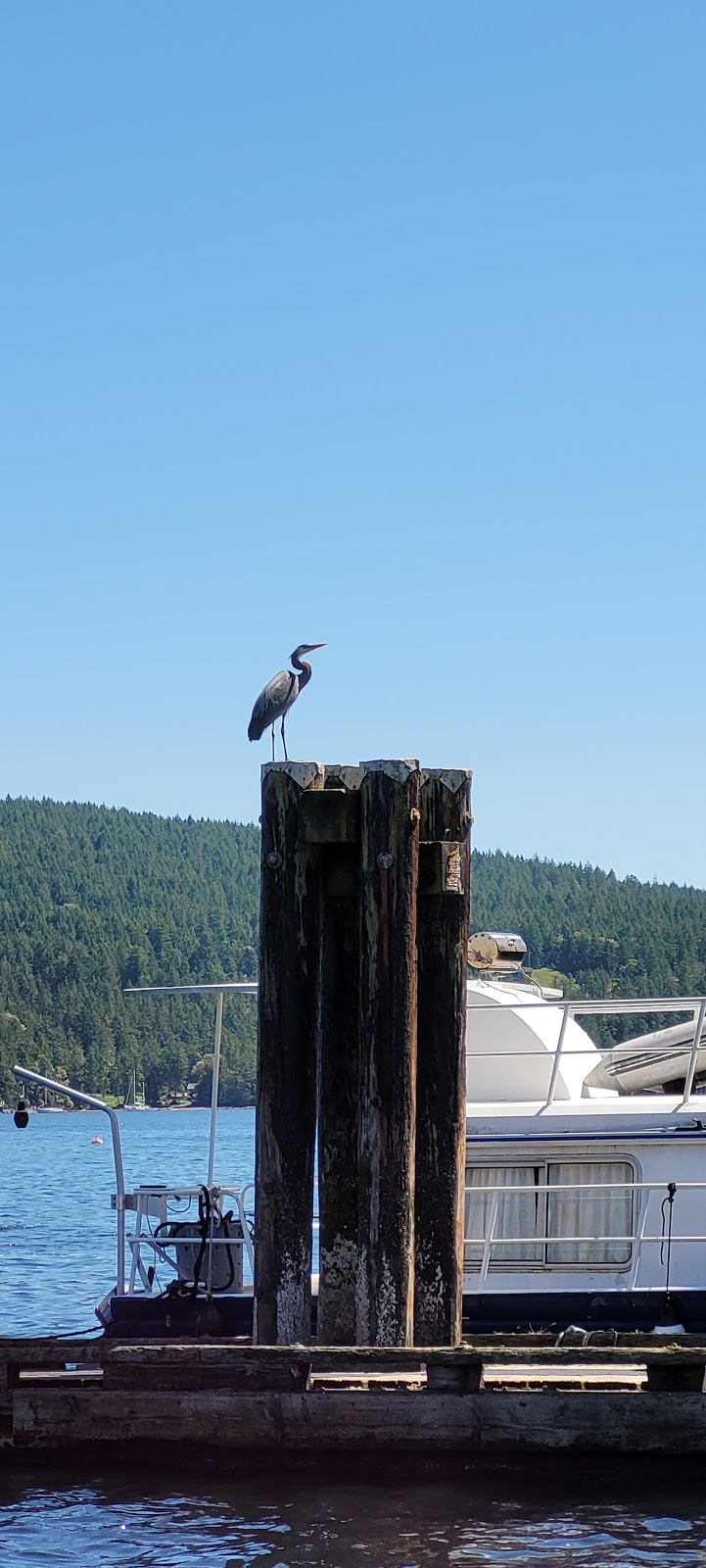 Maple Bay Municipal Wharf | D St, Duncan, BC V9L 5X8, Canada | Phone: (250) 246-4655