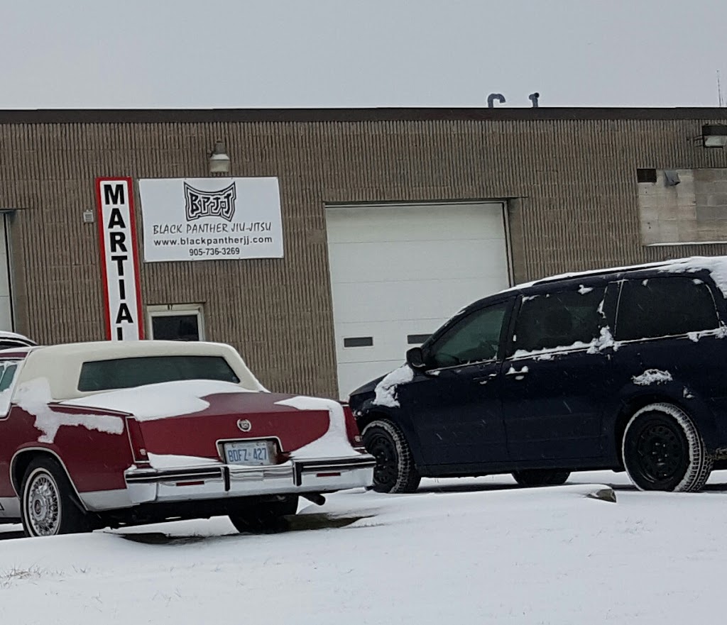 Black Panther Jiu-Jitsu | 87 Shaw St, Welland, ON L3B 5W9, Canada | Phone: (905) 736-3269