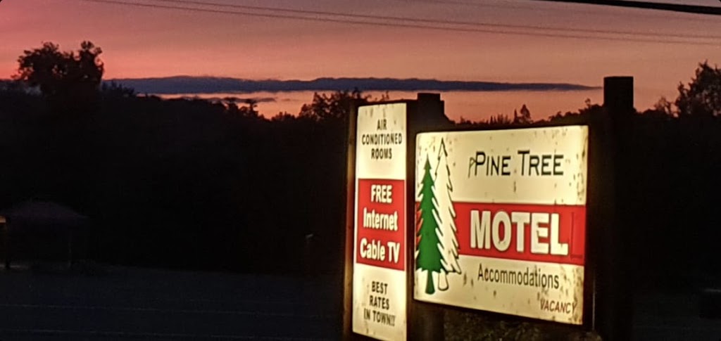 Pine Tree Motel - !UNDER NEW MANAGEMENT! | 8663 ON-60, Eganville, ON K0J 1T0, Canada | Phone: (613) 628-3403