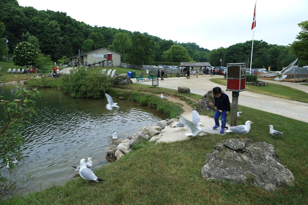 Gift Shop & Snack Bar | 223-401 Scenic Caves Rd, The Blue Mountains, ON L9Y 0P2, Canada