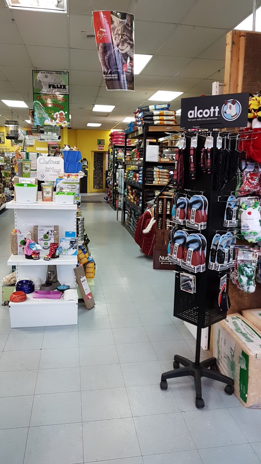 Animalerie Felix Pet Shop | 109 Boulevard DAnjou, Châteauguay, QC J6J 2R2, Canada | Phone: (450) 691-1833