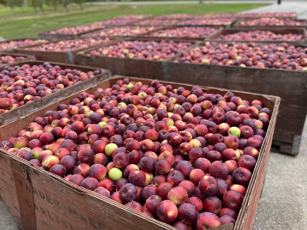 The Carlisle Cider Co | 1453 Milburough Line, Carlisle, ON L0R 1H0, Canada | Phone: (833) 376-3774