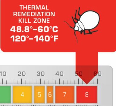 Bed Bug Heat Relief | 103 Chartwell Rd, Toronto, ON M8Z 4G8, Canada | Phone: (604) 226-3232