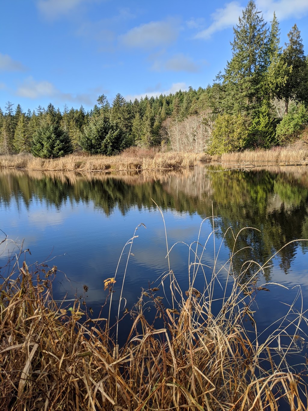 Sargeant Bay Provincial Park | Redrooffs Rd, Halfmoon Bay, BC V0N 1Y2, Canada | Phone: (604) 885-3714