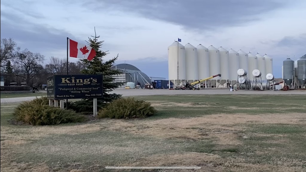 Kings Seed Farm Ltd | 315039 RR 222 RR#2, Three Hills, AB T0M 2A0, Canada | Phone: (403) 443-3333