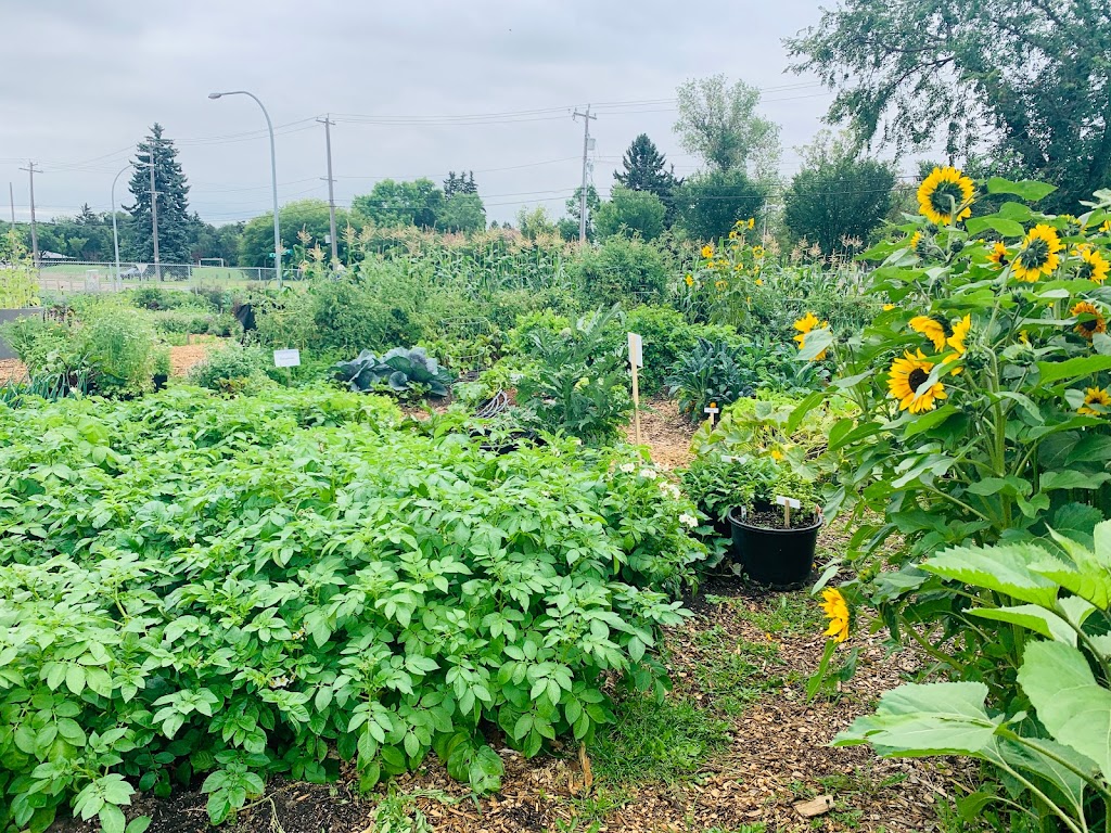 Edmonton Urban Farm | 11312 79 St NW, Edmonton, AB T5B 2K2, Canada | Phone: (780) 983-4010