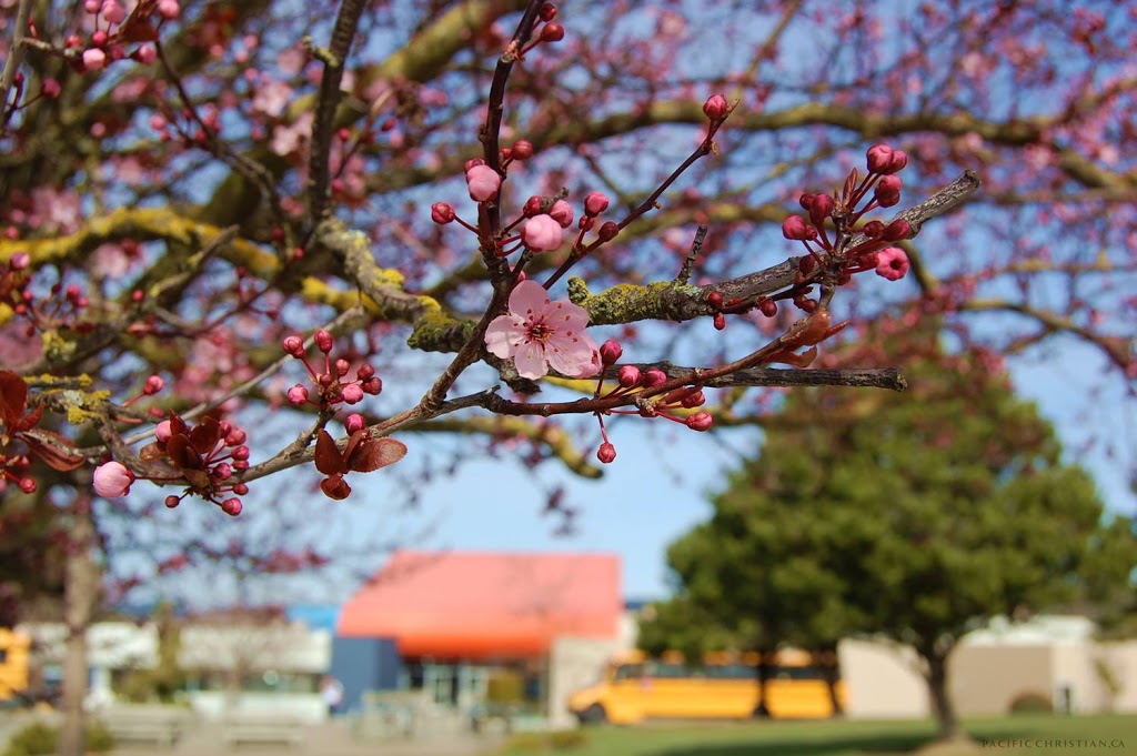 Pacific Christian Secondary School | 654 Agnes St, Victoria, BC V8Z 2E6, Canada | Phone: (250) 479-4532