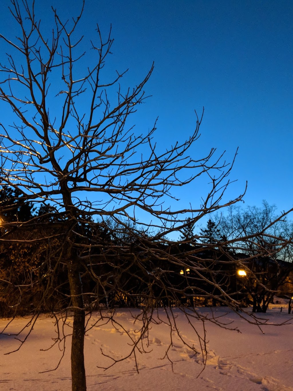 Parc de lAncienne-Pépinière | Montreal, QC H1M 1R7, Canada