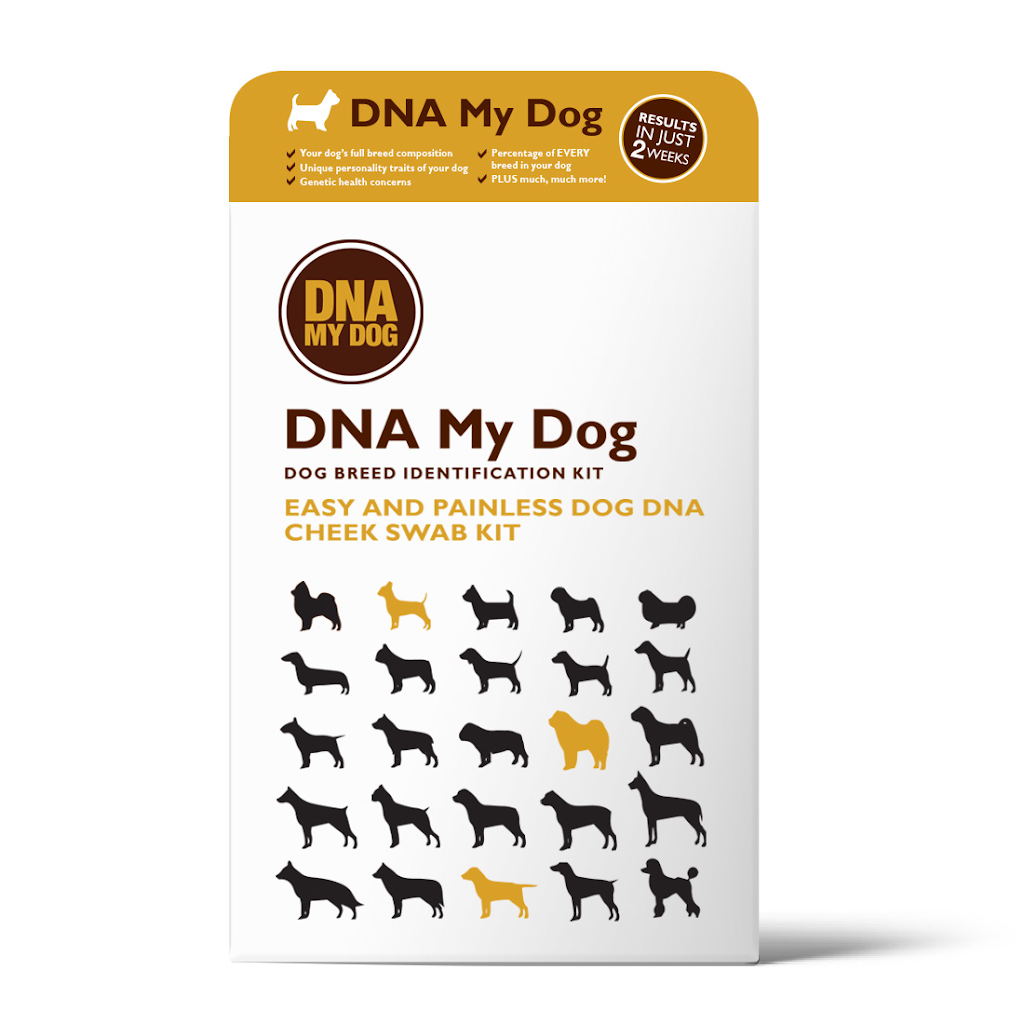 DNA My Dog/Allergy Test My Pet | 1543 Kingston Rd, Toronto, ON M1N 1R9, Canada | Phone: (416) 691-4160