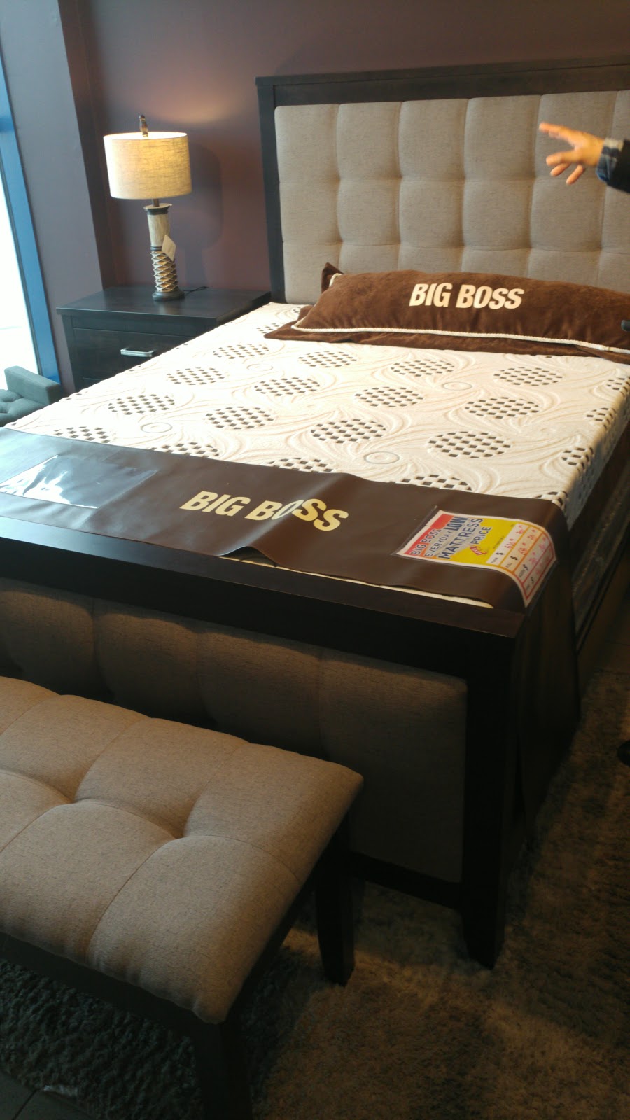 Big Boss Furniture Inc | 1783 Albion Rd, Etobicoke, ON M9W 5S7, Canada | Phone: (416) 675-8988