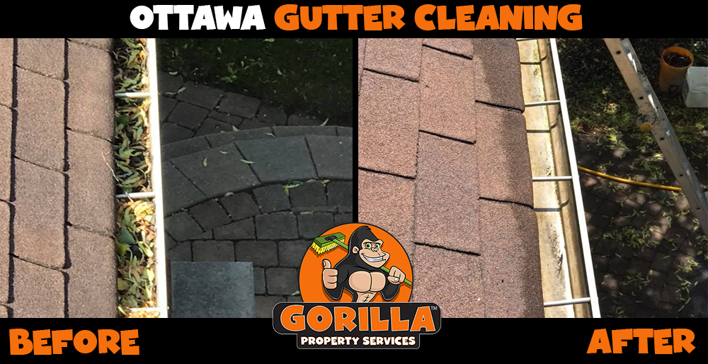 Gorilla Property Services | 40 Forest Creek Dr, Stittsville, ON K2S 1M2, Canada | Phone: (343) 430-0131