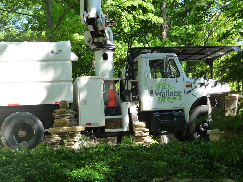 Wallace Tree Service | 319896 Kemble Rock Rd, Kemble, ON N0H 1S0, Canada | Phone: (519) 371-7632