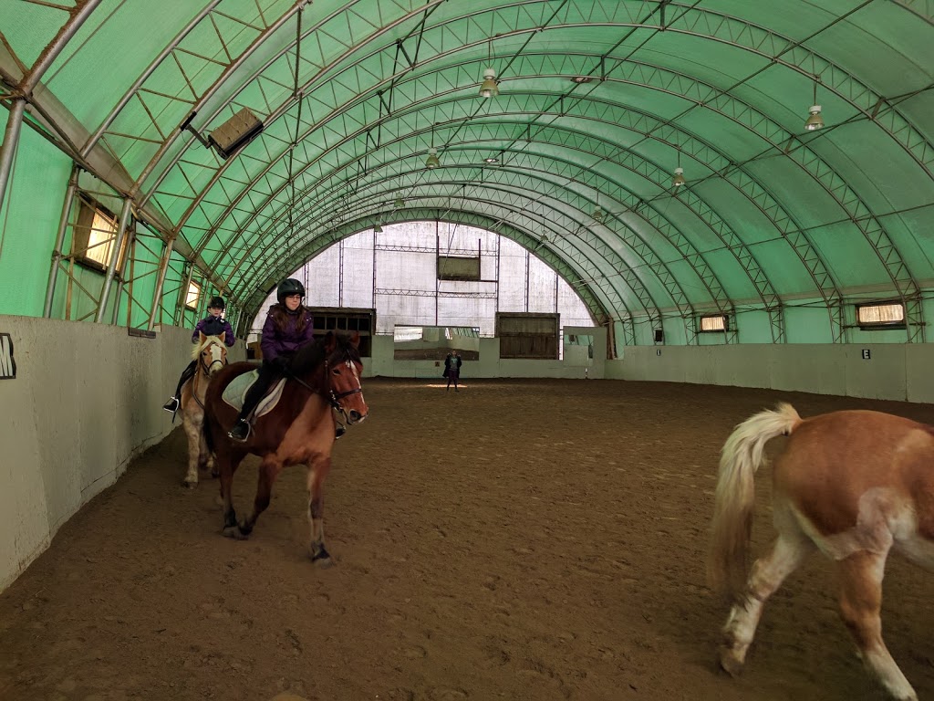 Caledon Equestrian School | 13441 Airport Rd, Caledon East, ON L7C 2X5, Canada | Phone: (905) 584-2022