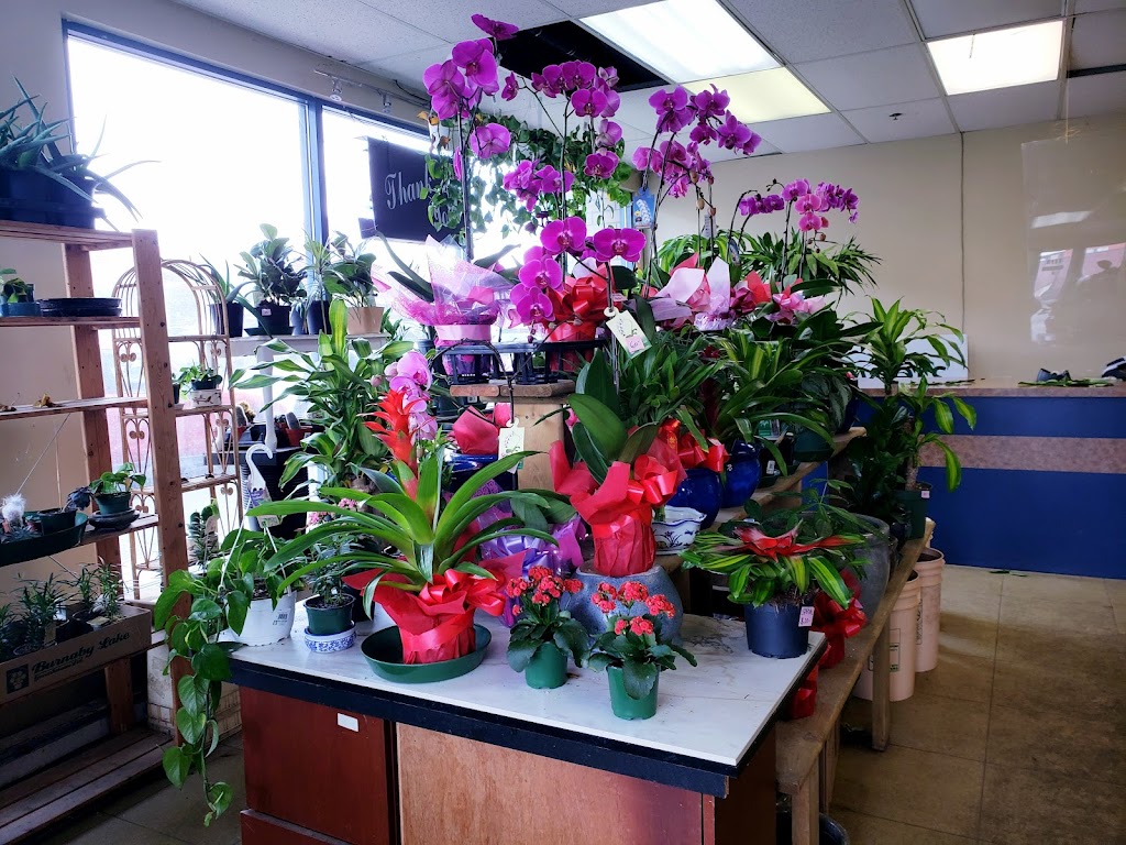 Daves Flowers Ltd | 5305 Victoria Dr, Vancouver, BC V5P 3V6, Canada | Phone: (604) 327-3432