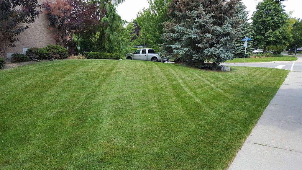 Cut and Clean Property Maintenance | 27 Slack St, Bradford, ON L3Z 0S4, Canada | Phone: (416) 904-7740