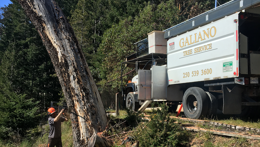 Galiano Tree Service | 398 Morgan Rd, Galiano Island, BC V0N 1P0, Canada | Phone: (250) 539-3600