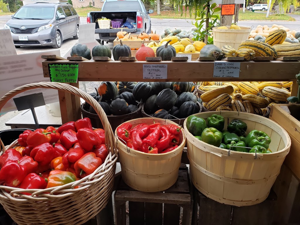 Rutherfords Farm and Roadside Market | 205 King St E, Colborne, ON K0K 1S0, Canada | Phone: (905) 355-3024