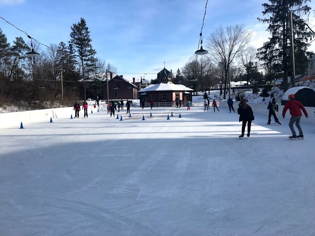 Rideau Skating Rink | 101 Princess Ave, Ottawa, ON K1M 1N6, Canada | Phone: (613) 991-4422