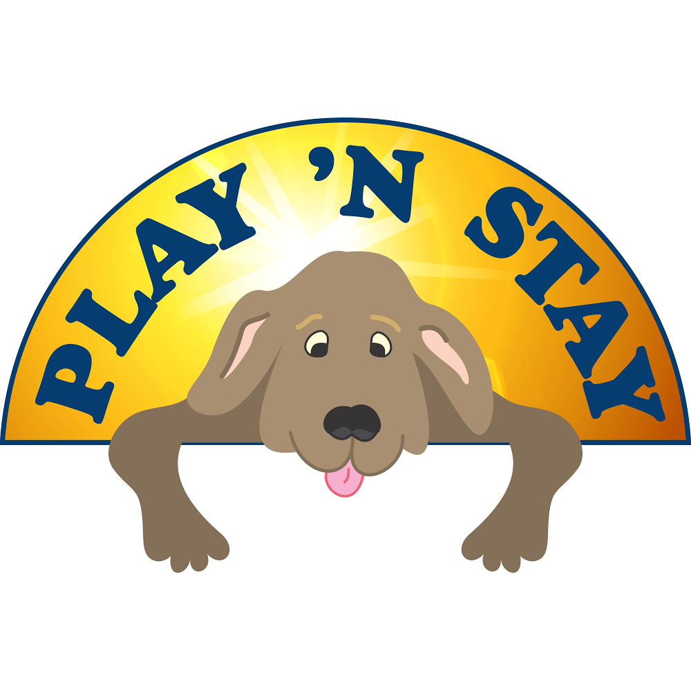 Play N Stay K-9 Daycare and Boarding | 33923 Grand Bend Rd, Parkhill, ON N0M 2K0, Canada | Phone: (226) 378-4955