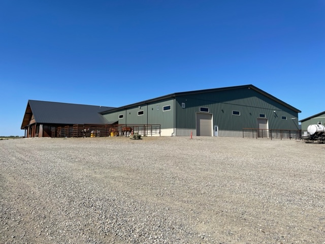 Springhaven Ranches Ltd | 200-306132 96 St E, Foothills County, AB T1S 3Z1, Canada | Phone: (403) 371-6531