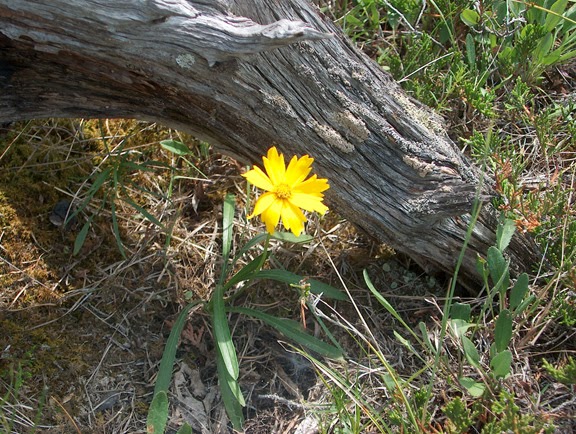 Bruce Alvar Nature Reserve | Hwy 6, Northern Bruce Peninsula, ON N0H 1Z0, Canada | Phone: (800) 440-2366