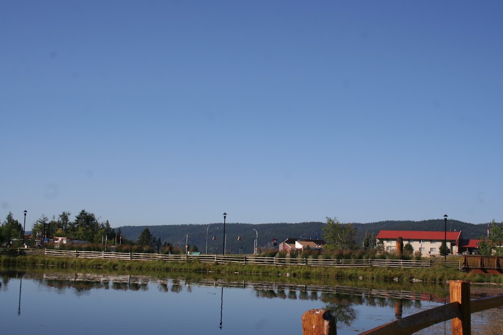 Logan Lake Lodge | 111 Chartrand Ave, Logan Lake, BC V0K 1W0, Canada | Phone: (250) 523-9466