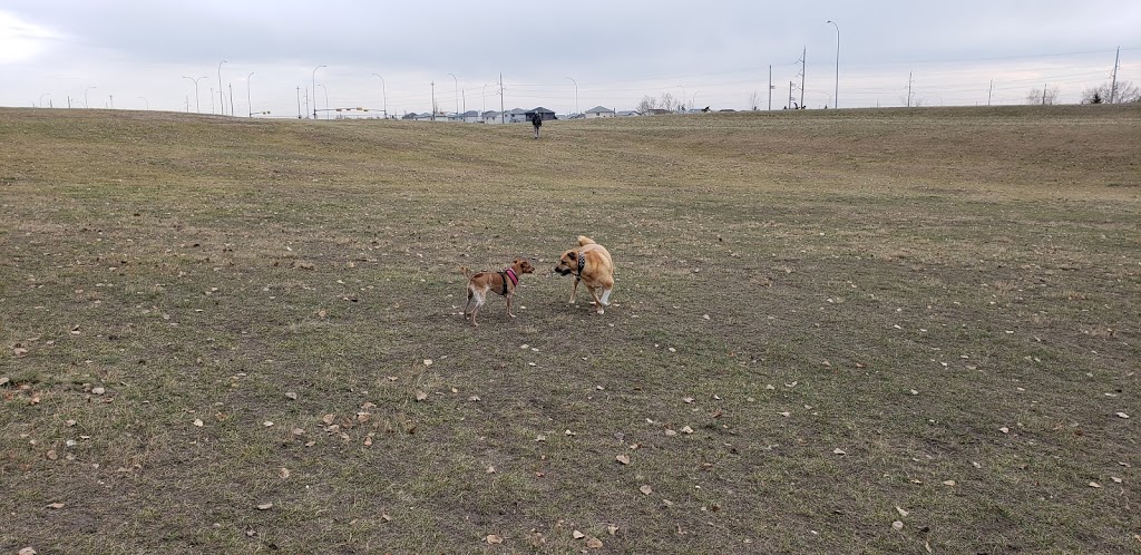 Mcknight/Falconridge Dog Park | 111 Falwood Way NE, Calgary, AB T3J 1A8, Canada