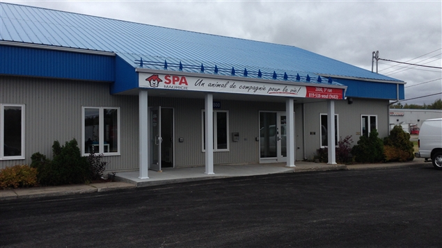 SPA Mauricie | 2800 Rue des Contremaîtres, Shawinigan, QC G9T 5K5, Canada | Phone: (819) 538-9683