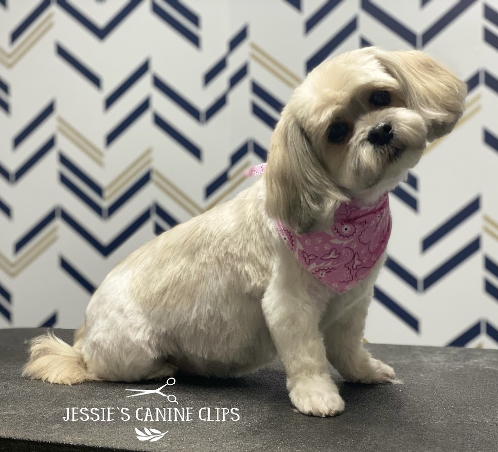 Jessies Canine Clips | 80 Woodland Dr, Midland, ON L4R 4E1, Canada | Phone: (705) 543-1835