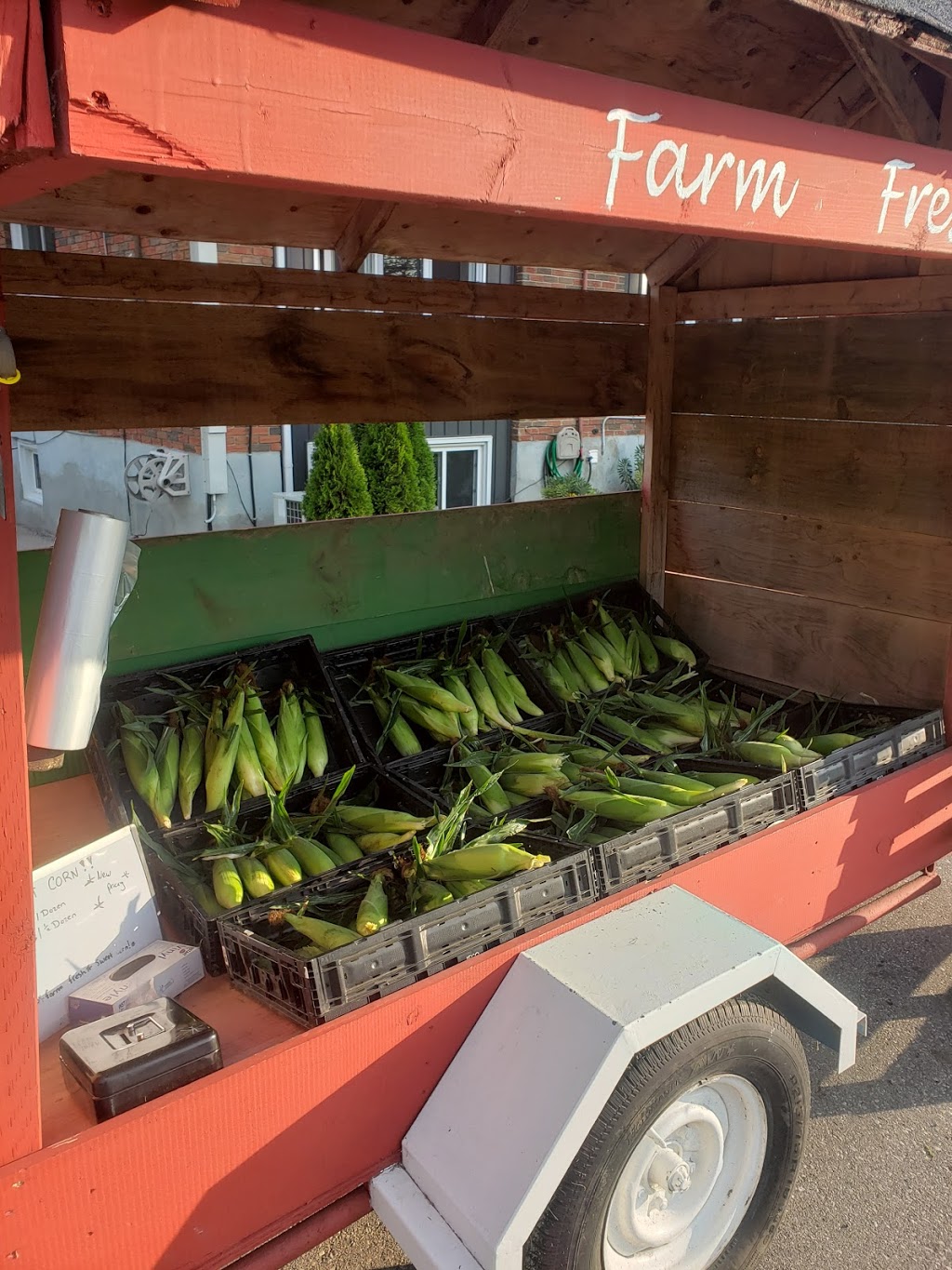 Pondlane Produce | 402 King St W, Ingersoll, ON N5C 3J7, Canada | Phone: (519) 497-1820