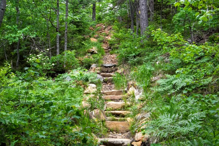 Serpentine-de-Coleraine Ecological Reserve | Saint-Joseph-de-Coleraine, QC G0N 1B0, Canada | Phone: (418) 423-3351