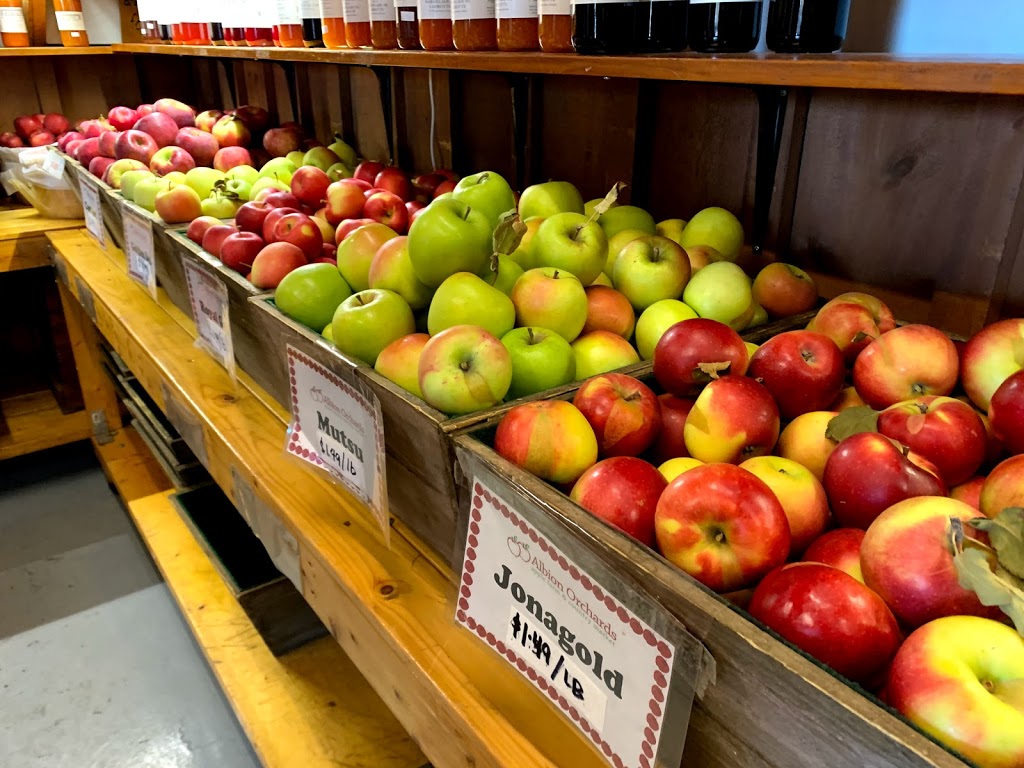 Albion Orchards & Country Market | 14800 Innis Lake Rd, Caledon East, ON L7C 2Y8, Canada | Phone: (905) 584-0354