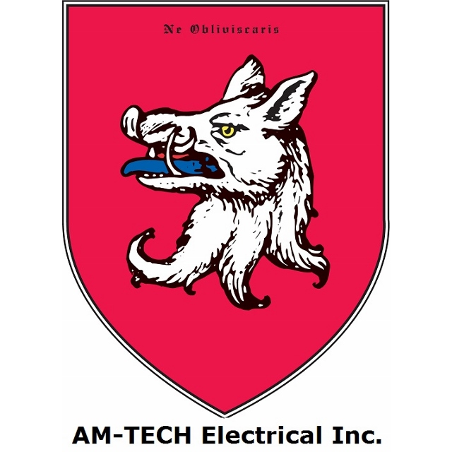 AM-TECH Electrical Inc. | 2405P St. Laurent Blvd, Ottawa, ON K1G 5B4, Canada | Phone: (613) 722-4218