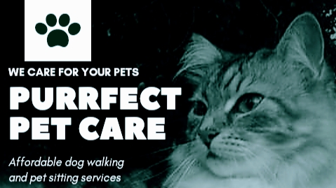 Purrfect Pet Care | 14966 83a Ave, Surrey, BC V3S 7S2, Canada | Phone: (778) 952-0045