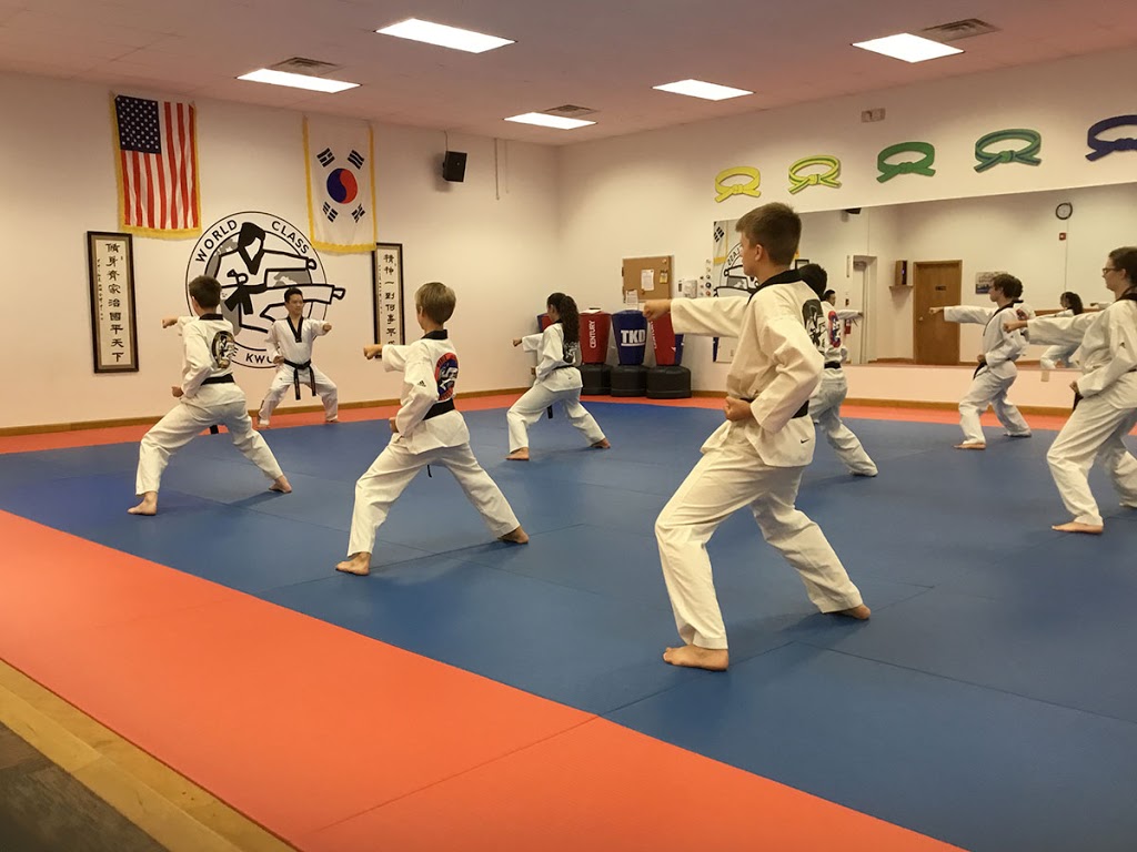 Master Chongs World Class Tae Kwon Do | 6050 South Park Ave #200, Hamburg, NY 14075, USA | Phone: (716) 646-6600