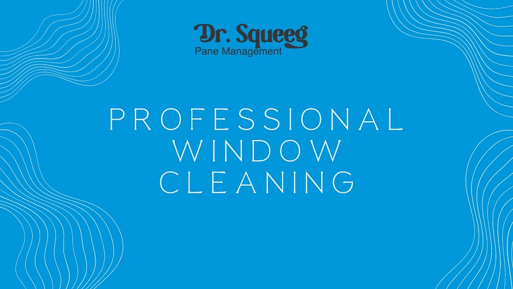 Dr.Squeeg | 273 Kensington Ave, Ingersoll, ON N5C 2B4, Canada | Phone: (226) 228-5546