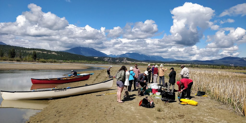 Columbia River Paddle (Tours & Rentals) | 25 Laurier St, Athalmer, BC V0A 1A0, Canada | Phone: (250) 342-7397