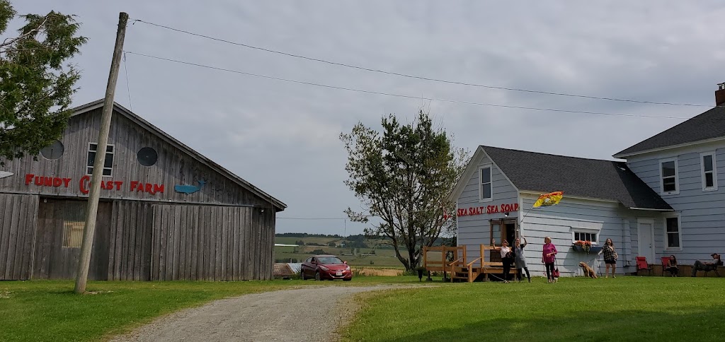 Fundy Coast Farm | 6200 NB-114, Beaver Brook, NB E4H 2R2, Canada | Phone: (506) 380-0912