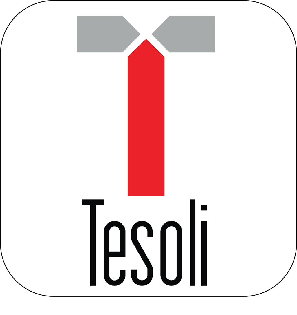 TESOLI SERVICES CORP | 116 Rolling Hills Ln, Bolton, ON L7E 4E1, Canada | Phone: (647) 529-0367