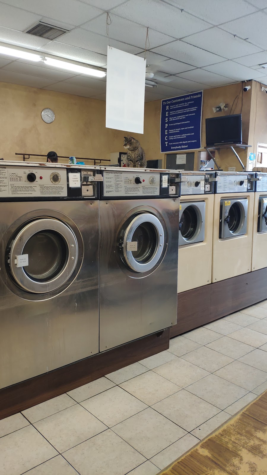 Self Service Laundromat | 904 Tecumseh Rd E, Windsor, ON N8X 2S6, Canada | Phone: (519) 252-1710