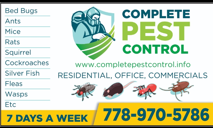 AAA Complete Pest Control | 9858 150 St, Surrey, BC V3R 8H2, Canada | Phone: (778) 970-5786