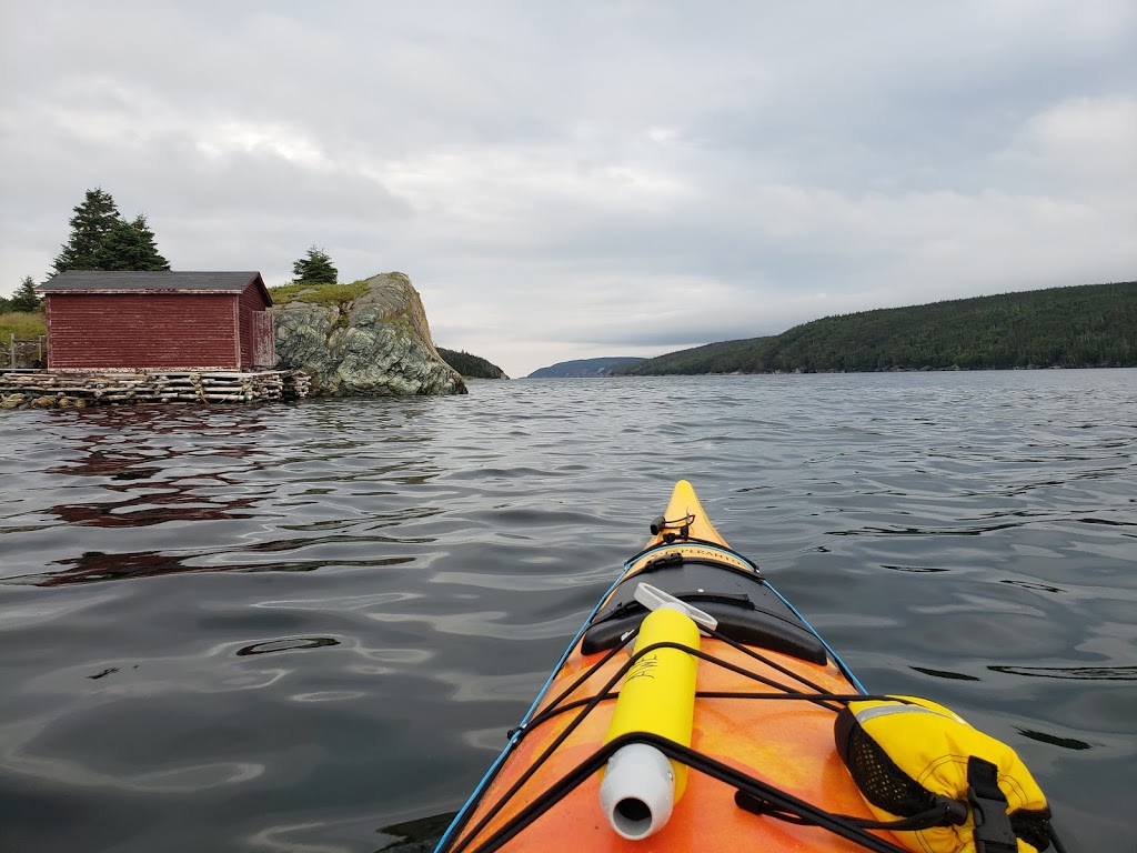 A Wilder Experience | 20 Southside Rd, Cape Broyle, NL A0B 0B2, Canada | Phone: (709) 432-2180