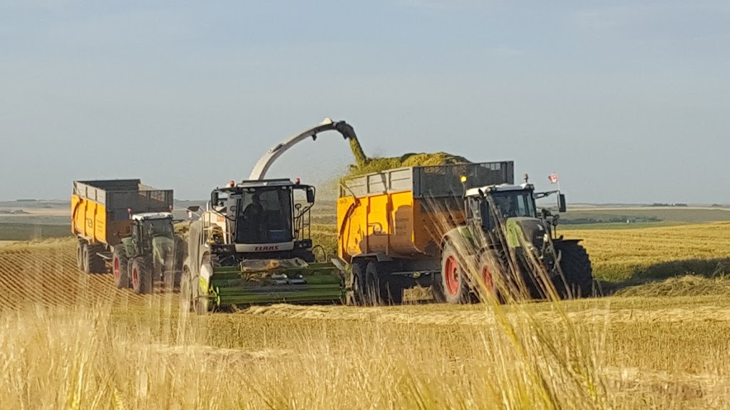 Holtrop Enterprises Farming Ltd. | Township Rd 412, Lacombe County, AB T4L 2N3, Canada | Phone: (403) 506-2999