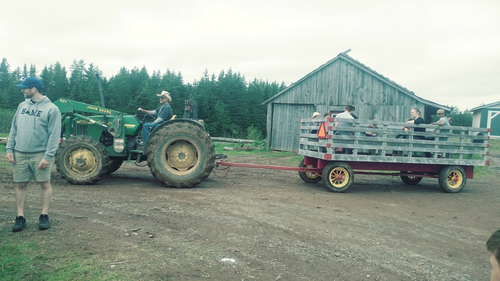 Sullivans Family Farm | 161 Sullivan Rd, Nuttby, NS B6L 6T5, Canada | Phone: (902) 890-0415