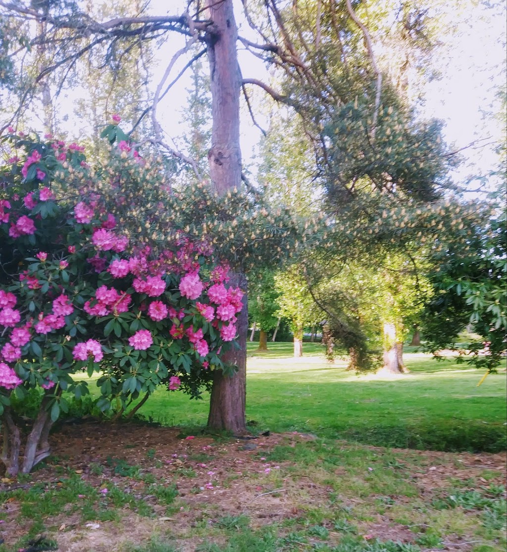 Centennial Park Disc Golf Course | Taulbut St, Mission, BC V2V, Canada | Phone: (604) 557-3447